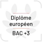 Logo Bac +3