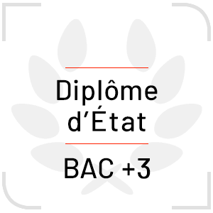 Diplôme d'Etat niveau Bac +3